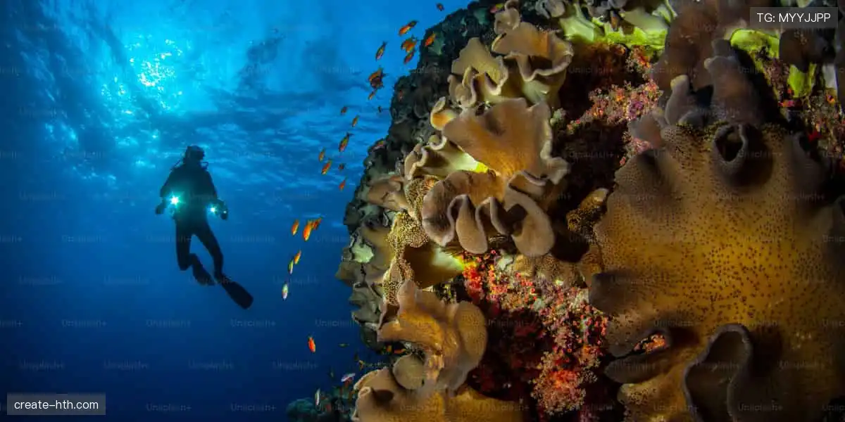 📺一键直击！全球赛事零时差，你的专属观赛主场💥